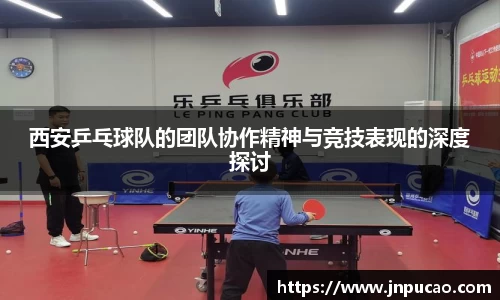 西安乒乓球队的团队协作精神与竞技表现的深度探讨
